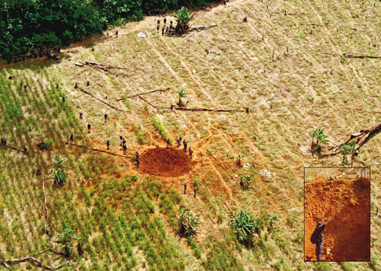Environmental and social effects of the drugs trade in colombia