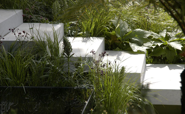 Chelsea Flower Show