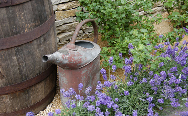 Chelsea Flower Show