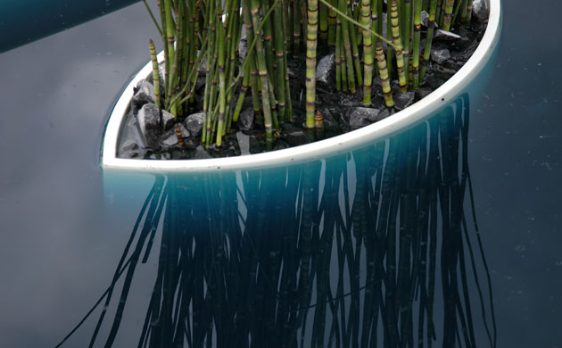Chelsea Flower Show