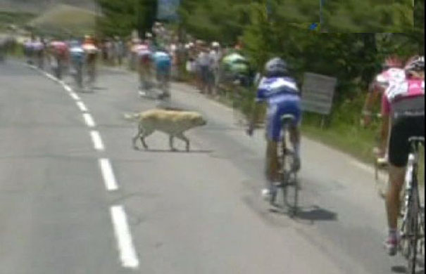 The image “http://image.guim.co.uk/Guardian/sport/gallery/2007/jul/17/tourdefrance.cycling/GD4049996@Stage-nine-Val-d'Iser-8731.jpg” cannot be displayed, because it contains errors.