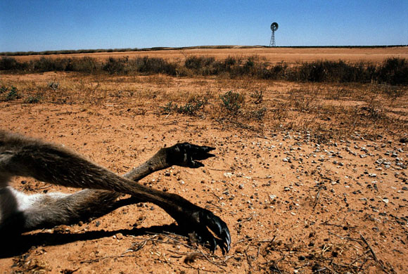 Desertification in Australia