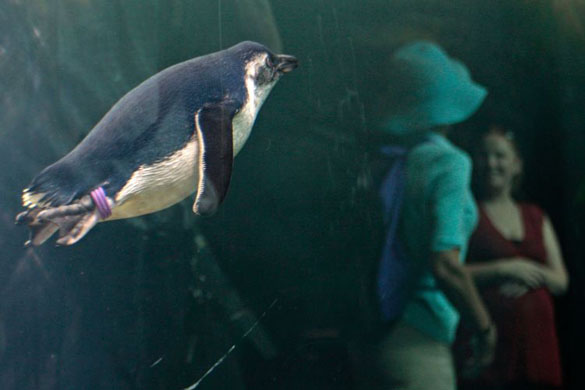 24 hours in pictures 3/4/8