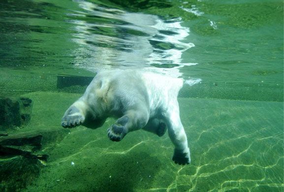 24 hours in pictures 9/4/8
