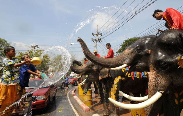 Children enjoy a water fight with elephants during the Thai New Year festival 