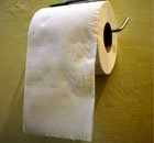 A toilet roll in a public toilet