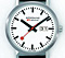 swiss_watch