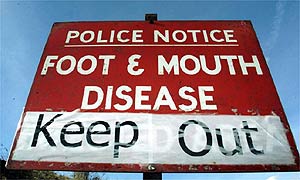 Police foot and mouth warning sign at a farm in Northumberland
