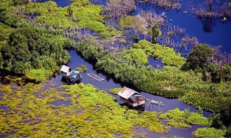 A hut in Riau, Indonesia, where palm oil plantations are a major cause of deforestation.