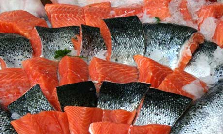 salmon