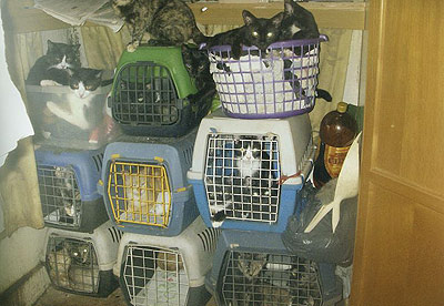 Pet rescue