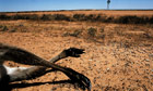 Drought in Australia