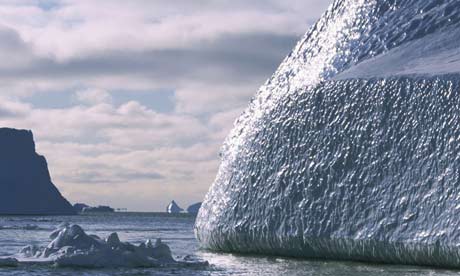 Giant icebergs drift in open water