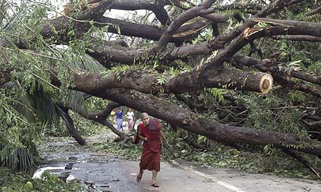 A monk makes his way past a fallen tree following the cyclone in Burma