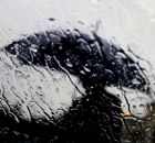 Rainy day in Sofia