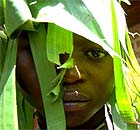 Child soldiers from the Mai-Mai militia guard the headquarters of their leader in Kisharu, Democratic Republic of Congo