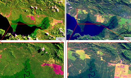 Satellite images show Papua New Guinea deforestation at critical level