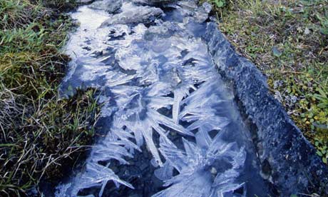 Ice crystals form over a tiny creek, Arctic