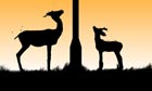 Lighting lamps: cartoons from the Middle East