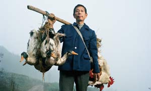 Interactive Portraits of China 