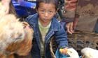 Video 2 Portraits of China