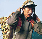 China pixie