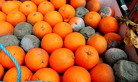 PM : UK wasting far too much food