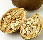 Baobob fruit