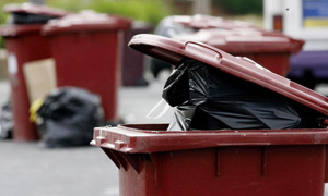 A wheelie bin