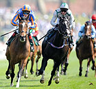 Racing at Chester