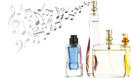Smell